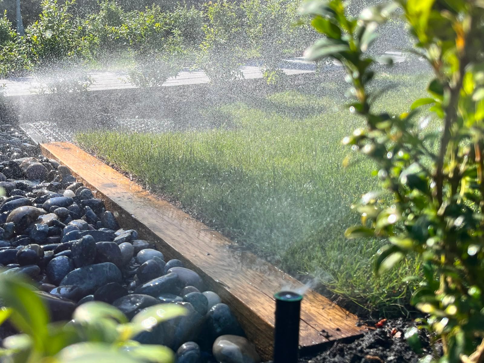 Frost on grass — winterization service